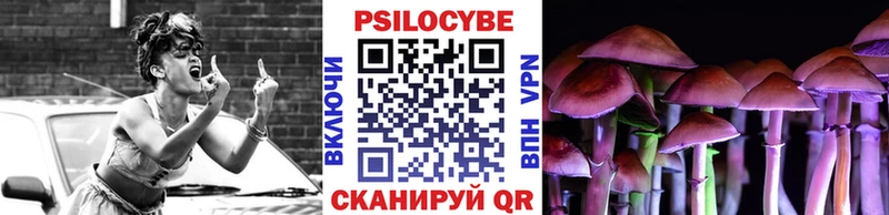 omg как войти  купить закладку  Курильск  Псилоцибиновые грибы GOLDEN TEACHER 