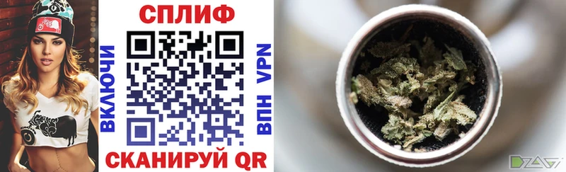 купить  сайты  Курильск  МЕГА вход  Шишки марихуана семена 